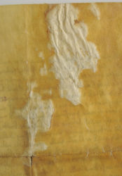 Ürik TLA.230.1.BB_74/iii
Bioloogiline kahjustus. Hallitanud. Näritud pind.
Bioloogilise kahjustumise tulemusena toimuv lokaalne pärgamendi õhenemine. Kahjustus on dokumenteeritud kaldvalguses.