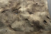 <a href='http://www.ra.ee/pargamendid/index.php/et/parchment/view?id=15136&_xr=eNoti0kOQFAQRO%252FSB%252Fi04FNWFg7SoQ2JeViJu%252FOxeq9eUgLG2cHPBOEnGzgGzbKW7aDj7m3qlJ5uQavW5VSpW8ygIs9NGlnDxr4JtPxkxwTUy9gc0ryPAKQ7Zdd1A%252FrvIg4%253D' target='_blank'>Ürik EAA.957.1</a>, 1553. a. </ br>
Bioloogilised kahjustused. Hallitanud. Näritud pind.
Degradeerunud ja bioloogiliselt tugevalt kahjustunud pärgament kaldvalguses.