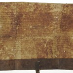 <a href='http://www.ra.ee/pargamendid/index.php/et/parchment/view?id=17085&_xr=eNpLtDK0qs60MrBOtDKBMIqtDM2slAoSi5IzclPzSvSLU0FMJaC4uZVSUWpacn5KKohnCOSG%252BDjqGRkb6BnqZupZmBrqJ4IlrJQKobQhiLawUspJzEsvTUwH6zOyUkotUbKurQUAyoEjqw%253D%253D' target='_blank'>Ürik TLA.230.1-i.851/a</a>, 1496. a. </ br>
Bioloogilised kahjustused. Hallitanud. Näritud pind.
Tugeva bioloogilise kahjustuse tulemusena võib pärgament lokaalselt õheneda. Pärgamendi õhenemine on hästi nähtav läbivas valguses.