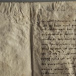 <a href='http://www.ra.ee/pargamendid/index.php/et/parchment/view?id=16416&_xr=eNpLtDK0qs60MrBOtDKBMIqtDM2slAoSi5IzclPzSvSLU0FMJaC4uZVSUWpacn5KKohnCOSG%252BDjqGRkb6BnqZmZmJulZWIAlrJQKobQhiLawUspJzEsvTUwH6zOyUkotUbKurQUA4bQkIQ%253D%253D' target='_blank'>Ürik TLA.230.1-iiib.88</a>, 1533. a. </ br>
Bioloogilised kahjustused. Hallitanud. Näritud pind.
Tugev bioloogiline kahjustus üle kogu pinna. Kahjustuste tulemusena muutuvad oluliselt pärgamendi omadused, pinna reljeef ja värvus.
