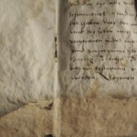 <a href='http://www.ra.ee/pargamendid/index.php/et/parchment/view?id=16416&_xr=eNpLtDK0qs60MrBOtDKBMIqtDM2slAoSi5IzclPzSvSLU0FMJaC4uZVSUWpacn5KKohnCOSG%252BDjqGRkb6BnqZmZmJulZWIAlrJQKobQhiLawUspJzEsvTUwH6zOyUkotUbKurQUA4bQkIQ%253D%253D' target='_blank'>Ürik TLA.230.1-iiib.88</a>, 1533. a. </ br>
Bioloogilised kahjustused. Hallitanud. Näritud pind.
Tugevalt degradeerunud, hallitanud, näritud pärgament. Kahjustused on tugevalt muutnud pärgamendi pinna reljeefi ja värvust. Bioloogiliste kahjustuste tulemusena on pärgament üle pinna ebaühtlaselt õhenenud.