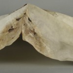 <a href='http://www.ra.ee/pargamendid/index.php/et/parchment/view?id=15925&_xr=eNoti0sOQEAQBe%252FSBxhaxifPygEcokP7JP7GStydwarqVfIEjLNHmAvsJzs4AS2yVd2okwt29UpPT0GbNtVcq1%252FMoKI0HFoTG7ZvAq0%252F2TMDDTK1h7TvIwKpo%252Fy6bvZYIfc%253D' target='_blank'>Ürik AM.104.5.14</a>, 18. saj.</br>
Jäik.
Materjal on kaotanud oma esialgse painduvuse.
Jäigaks muutunud pärgament on kaotanud oma painduvuse, on deformeerunud ning kaotanud oma esialgse kuju.
