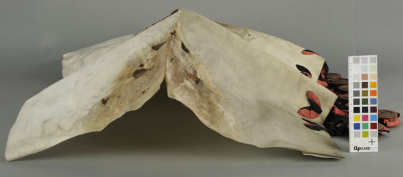 <a href='http://www.ra.ee/pargamendid/index.php/et/parchment/view?id=15925&_xr=eNoti0sOQEAQBe%252FSBxhaxifPygEcokP7JP7GStydwarqVfIEjLNHmAvsJzs4AS2yVd2okwt29UpPT0GbNtVcq1%252FMoKI0HFoTG7ZvAq0%252F2TMDDTK1h7TvIwKpo%252Fy6bvZYIfc%253D' target='_blank'>Ürik AM.104.5.14</a>, 18. saj.</br>
Jäik.
Materjal on kaotanud oma esialgse painduvuse.
Jäigaks muutunud pärgament on kaotanud oma painduvuse, on deformeerunud ning kaotanud oma esialgse kuju.