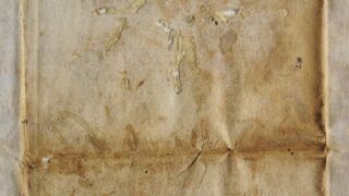 Ürik TLA.230.1.BB_74/iii
Bioloogilised kahjustused. Hallitanud. Näritud pind.
Dokumendi tagumise poole kahjustus on dokumenteeritud kaldvalguses. Lokaalsed bioloogilised kahjustused on muutnud pärgamendi õhemaks ja auklikuks.