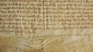 Karvanääpsuaugud.
Karvanääpsuaukude muster degradeerunud pärgamendis.
Dokumenteeritud degradeerunud pärgamendis on karvanääpsuaukude muster nähtav nii verso kui recto poolel.