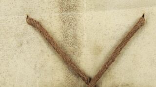 <a href='http://www.ra.ee/pargamendid/index.php/et/parchment/view?id=14649&_xr=eNpLtDK0qs60MrBOtDKBMIqtDM2slAoSi5IzclPzSvSLU0FMJaC4uZVSUWpacn5KKohnaGqlFOLjqGdkbKBnqOupZ2puBha2UiqE0oYg2sJKKScxL700MR2sy8hKKbVEybq2FgB91CL9' target='_blank' rel="noopener noreferrer">Ürik TLA.230.1-i.576</a>, 1425. a. </br>
Skeletimärkidega ala.
Pärgamendi välisilmet muutev ala verso poolel.
Jäsemete ja skeletimärkidega alas on nii nahk kui karvkate tihedam võrreldes ülejäänud naha piirkondadega. Sellest tulenevalt on nendes alades karvanääpsuaukude muster tihedam ja selle ala degradeerumine hästi nähtav.