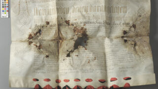 <a href='http://www.ra.ee/pargamendid/index.php/et/parchment/view?id=15925&_xr=eNoti0sOQEAQBe%252FSBxhaxifPygEcokP7JP7GStydwarqVfIEjLNHmAvsJzs4AS2yVd2okwt29UpPT0GbNtVcq1%252FMoKI0HFoTG7ZvAq0%252F2TMDDTK1h7TvIwKpo%252Fy6bvZYIfc%253D' target='_blank' rel="noopener noreferrer">Ürik AM.104.5.14</a>, 18. saj.</br>
Klaasjas ala
Üle pinna klaasja alaga, degradeerunud pärgament.
Klaasjad alad koos väljasadenenud kaltsiidi või kipsi valge sademega on muutnud pärgamendi jäigaks.