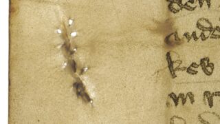 <a href='http://www.ra.ee/pargamendid/index.php/et/parchment/view?id=15140&_xr=eNpLtDK0qs60MrBOtDKBMIqtDM2slAoSi5IzclPzSvSLU0FMJaC4uZVSUWpacn5KKohnaGqlFOLjqGdkbKBnqJupZ2pmARa2UiqE0oYg2sJKKScxL700MR2sy8hKKbVEybq2FgCEICMe' target='_blank' rel="noopener noreferrer">Ürik TLA.230.1-i.568</a>, 1423. a. </br>
Kraapimise jäljed.
Naha õhendamisel kasutatud kraabits on tekitanud pärgamendis lõhe, mis on töötlemisel koheselt kinni nõelutud. Kahjustus on dokumenteeritud läbivas valguses.