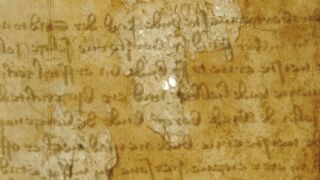 Ürik TLA.230.1.BB_74/iii
Bioloogilised kahjustused. Hallitanud. Näritud pind.
Bioloogilise kahjustumise tulemusena toimuv lokaalne pärgamendi õhenemine. Dokumendi tagumise poole kahjustus on dokumenteeritud läbivas valguses.