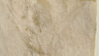 Klaasjas ala.
Muutunud välisilmega ala, mis on tekkinud pärgamendi lokaalse degradeerumise tulemusena