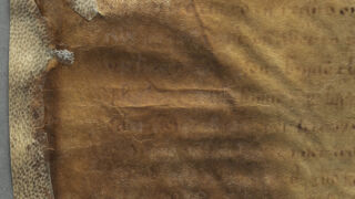 <a href='http://www.ra.ee/pargamendid/index.php/et/parchment/view?id=14272&_xr=eNotjM0OgjAQhN9lH6B0AX8ynDTx0MSj8WoarNhEi9DlZHh3s%252BBpvpnJjAfjG2Ebj80KGbwFffzYPt8hSZGDImnOoJiyRJkk9kmjCnQ5H5R2oDE82v4e1JV2KUxZWcPmeLpxXVydc8sNaPgrq%252B5BL5%252B6yXfrFBSEmnn%252BAUMbLZk%253D' target='_blank' rel="noopener noreferrer">Ürik TLA.230.1.BE_14/viii</a>, 1503. a. </ br>
Eelneva parandamise või konserveerimise tunnustega pärgament.
Parandamiseks kasutatud uus pärgament on liimitud tugevalt degradeerunud ürikule toeks.