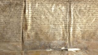 Kirme. Sade.
Valkja hallika sademena väljasadenenud kaltsiid degradeerunud pärgamendi pinnal.