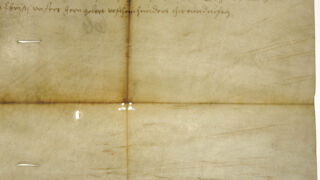 <a href='http://www.ra.ee/pargamendid/index.php/et/parchment/view?id=14291&_xr=eNpLtDK0qs60MrBOtDKBMIqtDM2slAoSi5IzclPzSvSLU0FMJaC4uZVSUWpacn5KKohnaGGlFOLjqGdkbKBnqOfkFG9uou%252FpCZaxUiqE0oYgGqgwJzEvvTQxHazRyEoptUTJurYWAO9NI%252Fc%253D&page=6' target='_blank' rel="noopener noreferrer">Ürik TLA.230.1.bb_74/ii</a>, 1402-1573. a. </ br>
Pimsskiviga lihvitud pind.
Läbivas valguses on dokumenteeritud pimsskiviga töötlemise jäljed