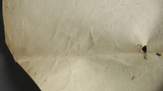 <a href='http://www.ra.ee/pargamendid/index.php/et/parchment/view?id=15967&_xr=eNoti8EOgjAQRP9lP6CwoNYMJ7mZePRuNrhiEy1Ky8nw72arp3mZNyNgfALqTrD9QQLvQC%252BZh%252FtTY66SGpL1DAox5ZCXHKZoVQs6nw5GHjTrbZiuWqa%252BCNe0tWPX9xe%252FqY5FgN7%252FZMs96CFxXGQsvwakmbp1%252FQK6piy6' target='_blank' rel="noopener noreferrer">Ürik TLA.230.1.BB_74/i</a>, 1413-1578. a.</br>
Veresoonte ala.
Veresoontesse jäänud verejäägid on muutnud veresooned osaliselt tumedaks.