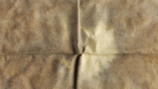 Klaasjas ala.
Üle pinna klaasja alaga, degradeerunud pärgament. Heledam osa pärgamentdokumendi tagumisel poolel on ala, mis ei ole veel lõpuni degradeerunud.