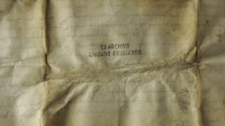 <a href='http://www.ra.ee/pargamendid/index.php/et/parchment/view?id=17513&_xr=eNpLtDK0qs60MrBOtDKBMIqtDM2slAoSi5IzclPzSvSLU0FMJaC4uZVSUWpacn5KqhJUVYiPo56RsYGeoa6np56huQFY3EqpEEobgmgLK6WcxLz00sR0sDYjK6XUEiXr2loAn%252FUjPQ%253D%253D' target='_blank' rel="noopener noreferrer">Ürik TLA.230.1-ii.170</a>, 1525. a. </br>
Klaasjas ala.
Lokaalse klaasja alaga, degradeerunud pärgament on dokumenteeritud kaldvalguses.