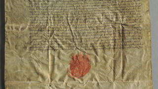 Klaasjas ala.
Muutunud välisilmega pärgament. Üle kogu pinna klaasja alaga tugevalt degradeerunud pärgament.