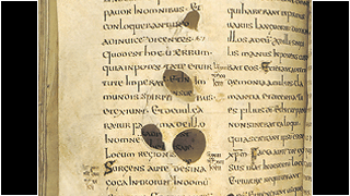Ill. 7. Pärgamendi venitamisel tekkinud augud.</ br>
Ill. 7. Holes caused by stretching the parchment