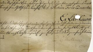 <a href='http://www.ra.ee/pargamendid/index.php/et/parchment/view?id=17116&_xr=eNpLtDK0qs60MrBOtDKBMIqtDM2slAoSi5IzclPzSvSLU0FMJaC4uZVSUWpacn5KKohnCOSG%252BDjqGRkb6BnqZmZmJuqZWIAlrJQKobQhiLawUspJzEsvTUwH6zOyUkotUbKurQUA4MwkHA%253D%253D' target='_blank' rel="noopener noreferrer">Ürik TLA.230.1-iiia.48</a>, 1781. a. </br>
Jäsemete keha külge kinnitumise ala e. lühidalt jäsemete ala.
Õhukese ja hästi säilinud pärgamendi ainsaks degradeerunud alaks on servas olev jäsemete ala, mis on tunduvalt paksem ülejäänud pärgamendist. Kahjustus on hästi nähtav läbivas valguses.
Kui pärgamentdokumendi paksus on 0,08-0,38 mm, siis jäsemete ala piirkonnas on paksus üle 0,48mm.