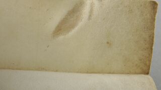 <a href='http://www.ra.ee/pargamendid/index.php/et/parchment/view?id=15236&_xr=eNoti0sOQEAQBe%252FSBxjTCPKsHMAhOrRP4m%252BsxN0ZrKpeJU%252FAOHvYXBB%252FsoMT0CJb1Y06uWBXr%252FT0FLRpU821%252BsUWVJSGbWwik7wFtP5kzww0yNQe0r6HEKSO8uu6Adg1IcU%253D' target='_blank' rel="noopener noreferrer">Ürik AM.104.3.6</a> 1594. a.</br>
Armkude.
Armistunud haavand, mille pinna tekstuur (värvus, reljeef) erineb oluliselt ülejäänud pärgamendi pinnast
Üriku servas, kaksikmurde recto poolel, asuv armkude on dokumenteeritud kaldvalguses.