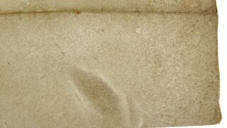 <a href='http://www.ra.ee/pargamendid/index.php/et/parchment/view?id=15236&_xr=eNoti0sOQEAQBe%252FSBxjTCPKsHMAhOrRP4m%252BsxN0ZrKpeJU%252FAOHvYXBB%252FsoMT0CJb1Y06uWBXr%252FT0FLRpU821%252BsUWVJSGbWwik7wFtP5kzww0yNQe0r6HEKSO8uu6Adg1IcU%253D' target='_blank' rel="noopener">Ürik AM.104.3.6</a> 1594. a.</br>
Armkude.
Armistunud haavand, mille pinna tekstuur (värvus, reljeef) erineb oluliselt pärgamendi ülejäänud pinnast.
Pärgamendi servas, kaksikmurde verso poolel, asuv armkude on dokumenteeritud läbivas valguses.</ br>
A scarred ulcer whose surface texture (color, relief) is significantly different from the rest of the surface of the parchment.
Scar tissue at the edge of the parchment, on the verso side of the bifold, is documented in transmitted light.