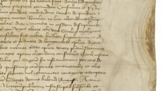 <a href='http://www.ra.ee/pargamendid/index.php/et/parchment/view?id=14649&_xr=eNpLtDK0qs60MrBOtDKBMIqtDM2slAoSi5IzclPzSvSLU0FMJaC4uZVSUWpacn5KKohnaGqlFOLjqGdkbKBnqOupZ2puBha2UiqE0oYg2sJKKScxL700MR2sy8hKKbVEybq2FgB91CL9' target='_blank' rel="noopener noreferrer">Ürik TLA.230.1-i.576</a>, 1425. a. </br>
Pärgamendilehe suurus.
Suurtel pärgamendilehtedel võivad pärgamendi omadused üle pinna oluliselt erineda. Läbivas valguses dokumenteeritud pärgamendi servas eristuvad jäsemete alad, kus degradeerub pärgament kiiremini. Läbivas valguses on degradeerunud jäsemete alad vähem läbipaistvad.