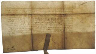 <a href='http://www.ra.ee/pargamendid/index.php/et/parchment/view?id=17509&_xr=eNoti0sOQEAQBe%252FSBxha%252FPKsHMAhOrRP4jvDStydwarqVfIEjHNAWAjiTxw4Ba1i637SeQ%252BceqWnZyCrbb006hczqKwMc2LYxOGbQNtP9sxBo8zdId37iEC6U3FdN%252FXTIfQ%253D' target='_blank' rel="noopener">Ürik AM.115.1.40</a>, 1510. a. </ br>
Paksus tulenevalt looma vanusest.
Õhuke, läbivas valguses ühtlaselt läbipaistev pärgament. See kvaliteedi tunnus on iseloomulik noorlooma nahast valmistatud pärgamendile.</ br>
Thickness due to the age of the animal.
Thin, uniformly transparent parchment in transmitted light. This quality feature is characteristic of parchment made from the skin of a young animal.