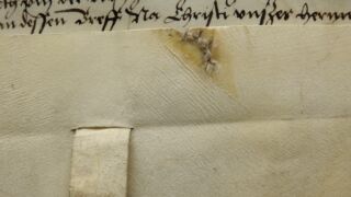 <a href='http://www.ra.ee/pargamendid/index.php/et/parchment/view?id=15288&_xr=eNpLtDK0qs60MrBOtDKBMIqtDM2slAoSi5IzclPzSvSLU0FMJaC4uZVSUWpacn5KqhJUVYiPo56RsYGeoW5mpp6RoQFY3EqpEEobgmgLK6WcxLz00sR0sDYjK6XUEiXr2loAq3AjeA%253D%253D' target='_blank' rel="noopener">Ürik TLA.230.1-ii.210</a>, 1525. a. </br>
Sakilise tera jäljed.
Sakilise servaga kraabitsale iseloomulike jooneliste töötlemisjälgedega pärgamendil on nähtav valmistamise käigus tekkinud ja koheselt kinni nõelutud auk. Pärgamendi paksus on 0,05-0,25mm, kraabitsa jälgede piirkonnas on paksus tunduvalt suurem, 0,4-0,45 mm.</ br>
The parchment with the linear processing marks characteristic of a scraper with a jagged edge has a visible hole that was created during the manufacturing process and was immediately sewn shut. The thickness of the parchment is 0.05-0.25 mm, in the area of the scratch marks the thickness is considerably larger, 0.4-0.45 mm.