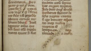 <a href='http://www.ra.ee/pargamendid/index.php/et/parchment/view?id=14994&_xr=eNoti0kOQFAQRO%252FSB%252Fg0gpSVvaULdL42JOZhJe7Ox%252Bq9ekkJGGcHPxNEn2zgGDTLattBx93b1Ck9PQGtWtupUrc4BJVFboLQN2zsEL0RtPxkxxTUy9gc0ryfAKQ7Zdd1A03rIuc%253D' target='_blank' rel="noopener">Ürik TLA.230.1.cm4</a>, 13. saj. </br>
Eemaldamata karvkude.
Pärgamendi valmistamisel eemaldamata jäänud karvad.
Pärgamendi õhendamisel tekkinud aukude siseservades võis jääda karvkude koos epidermisega eemaldamata.</ br>
Unremoved hairs when making parchment.
At the inner edges of the holes created by thinning the parchment, the hair tissue together with the epidermis may have remained unremoved.