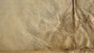 Ürik TLA.230.1.BB_74/iii.111 </br>
Kraapimise jäljed.
Kraabitsa jäljed (vaod, vöödid) pinnal kaldvalguses.</ br>
Scratch marks.
Scratch marks (grooves, stripes) on the surface in oblique light.