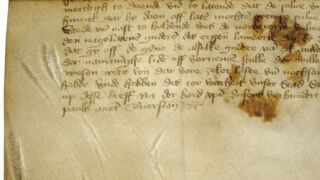 Ürik TLA.230.1.BD_1/iii.17 </br>
Kraapimise jäljed.
Kõvera teraga kraabitsa jäljed (vaod,vöödid) pinnal on dokumenteeritud läbivas valguses.</ br>
Scratch marks.
Traces (grooves, stripes) of a scratcher with a curved blade on the surface are documented in transmitted light.