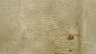 Ürik TLA.230.1-i-636. </br>
Kraapimise jäljed.
Naha õhendamisel kasutatud kraabitsa jäljed (vaod, vöödid) pinnal.</ br>
Scratch marks.
Traces (furrows, streaks) of the scraper used to thin the skin on the surface.