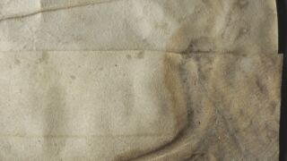 <a href='http://www.ra.ee/pargamendid/index.php/et/parchment/view?id=16457&_xr=eNpLtDK0qs60MrBOtDKBMIqtDM2slAoSi5IzclPzSvSLU0FMJaC4uZVSUWpacn5KKohnaGqlFOLjqGdkbKBnqJupZ2FhDha2UiqE0oYg2sJKKScxL700MR2sy8hKKbVEybq2FgCE3CMi' target='_blank' rel="noopener">Ürik TLA.230.1-i.887</a>, 1502. a. </br>
Kraapimise jäljed.
Kõvera teraga kraabitsa jäljed (vaod,vöödid) pinnal.
Naha õhendamisel kasutatud poolkuule sarnase kujuga kraabits võis pärgamenti oluliselt kahjustada. </ br>
Scratch marks.
Traces of a scratch with a curved blade (grooves, stripes) on the surface.
A crescent-shaped scraper used to thin the skin could have significantly damaged the parchment.