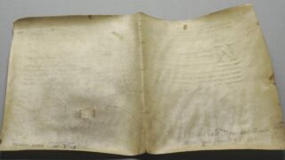 <a href='http://www.ra.ee/pargamendid/index.php/et/parchment/view?id=16488&_xr=eNoti0sOQEAQBe%252FSBxjaP8%252FKARyiQ%252Fsk%252FsNK3J3BqupV8gSMs4efC6JPLDgBLbJV3ajT7ll1Sk9PQZs21VyrW8ygojTMsQkNp28CrT%252FZMQMNMrWHtO8jAOlO%252BXXd9uQh%252Bg%253D%253D' target='_blank' rel="noopener noreferrer">Ürik AM.115.3.17</a>, 1749. a. </br>
Jäik.
Pärgamendil on hästi näha lehe deformatsioon, pärgamendi kokkutõmbumine, mille üheks põhustajaks võivad olla veresoontesse jäänud verejäägid (veres sisalduvad rauasoolad). Verejääkide toimel on pärgament degradeerunud ja muutunud jäigaks.