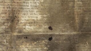 <a href='http://www.ra.ee/pargamendid/index.php/et/parchment/view?id=15561&_xr=eNoti0kOQFAQRO%252FSB%252Fi0OWVl4SAd2pCYfStxdz5W79VLSsA4e%252Fi5IPpkByegRbaqG3Wy3q5O6ekpaNOmmmt1i0NQWRQmiNLEsOH4jaD1JztmoEGm9pD2%252FQQgtZRf1w02%252FCJt' target='_blank' rel="noopener noreferrer">Ürik EAA.2476.1.15</a>, 1553. a. </br>
Veresoonte ala.
Pärgamendi kõige tugevamalt degradeerunud alas on eristatav veresoonte ala, mis võib olla ka üheks klaasjate alade tekkepõhjuseks.