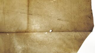 <a href='http://www.ra.ee/pargamendid/index.php/et/parchment/view?id=15967&_xr=eNoti8EOgjAQRP9lP6CwoNYMJ7mZePRuNrhiEy1Ky8nw72arp3mZNyNgfALqTrD9QQLvQC%252BZh%252FtTY66SGpL1DAox5ZCXHKZoVQs6nw5GHjTrbZiuWqa%252BCNe0tWPX9xe%252FqY5FgN7%252FZMs96CFxXGQsvwakmbp1%252FQK6piy6' target='_blank' rel="noopener noreferrer">Ürik TLA.230.1.BB_74/i</a>, 1413-1578. a.</br>
Veresoonte ala.
Veresoonkonna mustriga alad läbivas valguses.
Soontesse jäänud verejäägid on muutnud veresooned tumedaks. See on pärgamendi degradeerumise ja jäigaks muutumise üks põhjuseid.