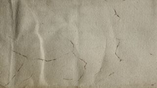 <a href='http://www.ra.ee/pargamendid/index.php/et/parchment/view?id=16016&_xr=eNoti8EOgjAQRP9l71YKkZrhpLcmHP2BBldsogXpciL8u9nqaV7mzQRYbBFVF3D6QYZtQXNYhuebkxwzK5L2FhRTliirxClp1YBu%252FUXJgRZ%252BDNOdy9QVYeqmMvbgvb%252Ba1hUB%252BvzTap5Br5DGNYzlV4NYqNv3L7gNLKs%253D' target='_blank' rel="noopener">Ürik TLA.230.1-iiiB.67</a>, 1511. a.</br>
Veresoonte ala.
Veresoonte mustriga alad.
Soontesse jäänud verejäägid on muutnud veresoonte alad tumedaks, mis on pärgamendi degradeerumise ja jäigaks muutumise üks põhjuseid.</ br>
Areas with a vascular pattern.
Remaining blood in the vessels has darkened the vascular areas, which is one of the reasons for the degradation and hardening of the parchment.