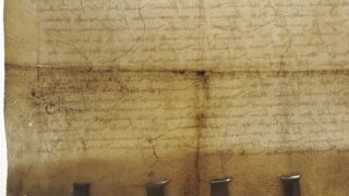<a href='http://www.ra.ee/pargamendid/index.php/et/parchment/view?id=16016&_xr=eNoti8EOgjAQRP9l71YKkZrhpLcmHP2BBldsogXpciL8u9nqaV7mzQRYbBFVF3D6QYZtQXNYhuebkxwzK5L2FhRTliirxClp1YBu%252FUXJgRZ%252BDNOdy9QVYeqmMvbgvb%252Ba1hUB%252BvzTap5Br5DGNYzlV4NYqNv3L7gNLKs%253D' target='_blank' rel="noopener">Ürik TLA.230.1-iiiB.67</a>, 1511. a.</br>
Veresoonte ala.
Veresoonte mustriga alad läbivas valguses.</ br>
Areas with vascular pattern in transmitted light.