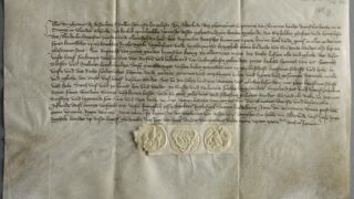 <a href='http://www.ra.ee/pargamendid/index.php/et/parchment/view?id=14604&_xr=eNoti0sOgkAQRO%252FSBxho8JdiJYkLEpfuTQdbnEQHZZqV4e46o6t6qVclYLw9ykaw%252FkEEb0BPmfrbQ4MVURNS6hnkQzRvs%252FkxpKoGnY77RFvQpNd%252BvGie7rJwVV06du3hzKui67IBvf7JKb%252FDu4RhliEfK5AaNcvyAedvLQE%253D' target='_blank' rel="noopener noreferrer">Ürik TLA.230.1.be_14/ii</a>, 1561.a.</br>
Paksuse kõikumine.
Paksuse suur ebaühtlus üle pärgamendi pinna võib põhjustada ajaloolistel pärgamentidel deformatsiooni. Deformatsioon pärgamendi servades on dokumenteeritud kaldvalguses.