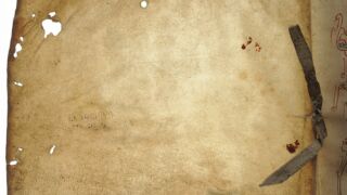 <a href='http://www.ra.ee/pargamendid/index.php/et/parchment/view?id=15437&_xr=eNpLtDK0qs60MrBOtDKBMIqtDM2slAoSi5IzclPzSvSLU0FMJaC4uZVSUWpacn5KKohnaGylFOLjqGdkbKBnqJecawoWtFIqhNKGINrCSiknMS%252B9NDEdrMfISim1RMm6thYAThgi6A%253D%253D' target='_blank' rel="noopener">Ürik TLA.230.1.cm5</a>, 1257. a. </ br>
Köidetud pärgament.
Dokumenteeritud on tugevalt kahjustunud köite tagumine leht.
</ br>
Bound parchment.
The back page of the heavily damaged volume is documented.