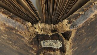 <a href='http://www.ra.ee/pargamendid/index.php/et/parchment/view?id=16980&_xr=eNoti0kOQFAQRO%252FSB%252Fg0gpSVvaULdL42JOZhJe7Ox%252Bq9ekkJGGcHPxNEn2zgGDTLattBx93b1Ck9PQGtWtupUrc4BJVFboLQN2zskL4RtPxkxxTUy9gc0ryfAKQ7Zdd1A06fIus%253D' target='_blank' rel="noopener">Ürik TLA.230.1.cm8</a>, 14.saj. </ br>
Parchament document.