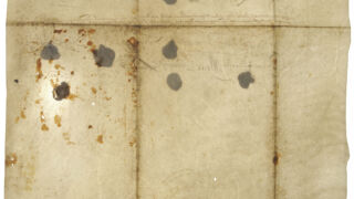 Plekk.
Tindiplekid on selgelt eristatavad teistest plekkidest. Dokumenteeritud läbivas valguses.</ br>
Ink stains are clearly distinguishable from other stains. Documented in transmitted light.