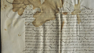 <a href='http://www.ra.ee/pargamendid/index.php/et/parchment/view?id=16168&_xr=eNpLtDK0qs60MrBOtDKBMIqtDM2slAoSi5IzclPzSvSLU0FMJaC4uZVSUWpacn5KKohnCOSG%252BDjqGRkb6BnqObnGG5roh4ElrJQKobQhiLawUspJzEsvTUwH6zOyUkotUbKurQUAzMMjtw%253D%253D' target='_blank' rel="noopener noreferrer">Ürik TLA.230.1.be_14/v</a>,1503. a. </ br>
Tindikadu. Luitumine, valastumine.
Meediumi luitumist ja värvuse intensiivsuse vähenemist kirjeldatakse valastumisena.