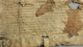 <a href='http://www.ra.ee/pargamendid/index.php/et/parchment/view?id=15018&_xr=eNpLtDK0qs60MrBOtDKBMIqtDM2slAoSi5IzclPzSvSLU0FMJaC4uZVSUWpacn5KKohnaGqlFOLjqGdkbKBnqJuZqWdhBBa2UiqE0oYg2sJKKScxL700MR2sy8hKKbVEybq2FgCNNSNO' target='_blank' rel="noopener">Ürik TLA.230.1-ii.82</a>, 1466. a. </ br>
Tindikadu. Luitumine, valastumine.
Esineb kahjustumise põhjuseid, mille puhul tindikadu ja valastumine võivad esineda koos.
Tindikirja valastumine tugevalt degradeerunud ja üleni klaasjate aladega ja plekkidega kaetud ürikul.</ br>
Ink loss. Casting, casting.
There are causes of damage where ink loss and casting can occur together.
Casting of ink writing on a highly degraded document covered with glassy areas and stains.