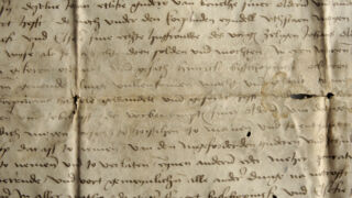 <a href='http://www.ra.ee/pargamendid/index.php/et/parchment/view?id=16507&_xr=eNotizkKgEAQBP8yuevuKiptZCgY%252BoFBxwO8j0j8u2dURdHNMDha6Jjhf7LCBKCJl6LpZdjcVR6lu4egRapiLIX%252BVZ4lynpaGSdNlbX67aD5p3kYgToe6p3r92ZBslF8nhefPiM5' target='_blank' rel="noopener">Ürik TLA.230.1-ii.220</a>, 1508. a. </ br>
Tindikadu. Luitumine, valastumine.
Tindi värvuse intensiivsuse vähenemine algjärgus.</ br>
Initial reduction in ink color intensity.