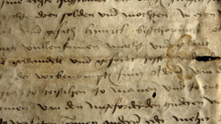 <a href='http://www.ra.ee/pargamendid/index.php/et/parchment/view?id=16507&_xr=eNotizkKgEAQBP8yuevuKiptZCgY%252BoFBxwO8j0j8u2dURdHNMDha6Jjhf7LCBKCJl6LpZdjcVR6lu4egRapiLIX%252BVZ4lynpaGSdNlbX67aD5p3kYgToe6p3r92ZBslF8nhefPiM5' target='_blank' rel="noopener">Ürik TLA.230.1-ii.220</a>, 1508. a. </ Seisund 3.
Tindikadu. Luitumine, valastumine.
Tindi värvuse intensiivsuse vähenemine algjärgus.</ br>
Initial reduction in ink color intensity.
.