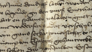 <a href='http://www.ra.ee/pargamendid/index.php/et/parchment/view?id=14363&_xr=eNpLtDK0qs60MrBOtDKBMIqtDM2slAoSi5IzclPzSvSLU0FMJaC4uZVSUWpacn5KKohnaGqlFOLjqGdkbKBnqJupZ2FoAha2UiqE0oYg2sJKKScxL700MR2sy8hKKbVEybq2FgCDEyMY' target='_blank' rel="noopener">Ürik TLA.230.1-i.814</a>, 1485. a. </ br>
Helvestumine. Irdumine.
Pärgamendi ja/või tindikirja kihiti eraldumine, kestendamine.</ br>
Flaking. Detachment.
Separation, flaking of parchment and/or ink writing.