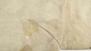 Rebend, lõhe.
Pärgamendi lõhestumine ilma materjali kaota.</ br>
Rupture, fissure.
Parchment splitting without material loss.