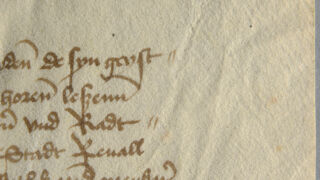 Korts.
Väikeste kurdude ja voltide muster pärgamendi pinnal. </ br>
A pattern of small creases and folds on the surface of the parchment.