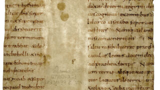 <a href='http://www.ra.ee/pargamendid/index.php/et/parchment/view?id=15139&_xr=eNpLtDK0qs60MrBOtDKBMIqtDM2slAoSi5IzclPzSvSLU0FMJaC4uZVSUWpacn5KKohnCOSG%252BDjqGRkb6BnqOfnHG1roJ4ElrJQKobQhiLawUspJzEsvTUwH6zOyUkotUbKurQUA0Y8j0Q%253D%253D' target='_blank' rel="noopener">Ürik TLA.230.1.bo_18/b</a> 10. saj. </ br>
Pinna lainelisus. Lokkimine.
Pinna ebatasasus, mis sirgeneb kerge vajutise all. Dokumenteeritud läbivas valguses.</ br>
Surface roughness that straightens under light pressure. Documented in transmitted light.